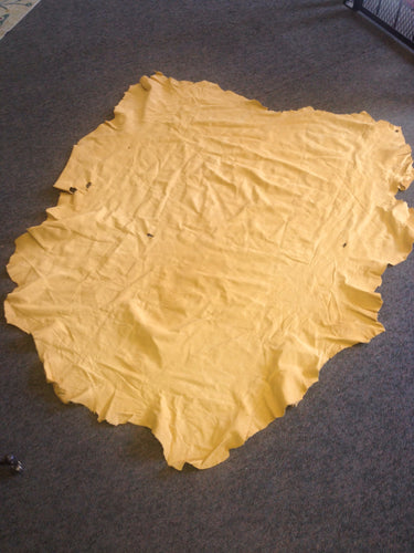 Moose Hide